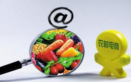 農村電商解決方案